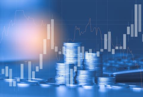 Co-financing Model